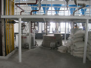 Linea di produzione detergente automatica della polvere dei semi per industria chimica