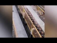 forno al silicato di sodio a processo secco / macchina per la produzione di silicato di sodio solido