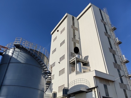 Linea di produzione detergente della polvere di progetto chiavi in mano con le macchine imballatrici